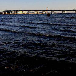 甲子園浜　２日連続　キビレとシーバス